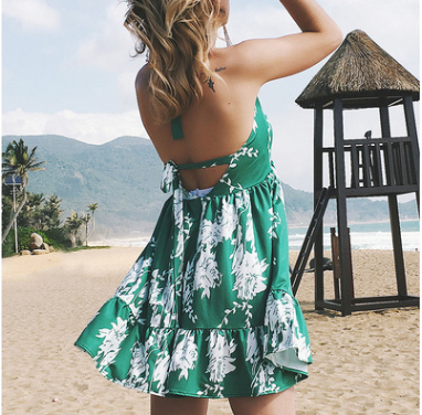 The Floral V-Neck Mini Dress